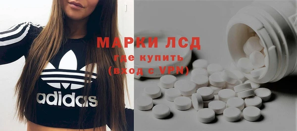 прущие грибы Балахна