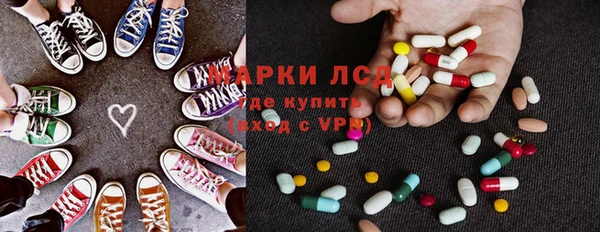 прущие грибы Балахна