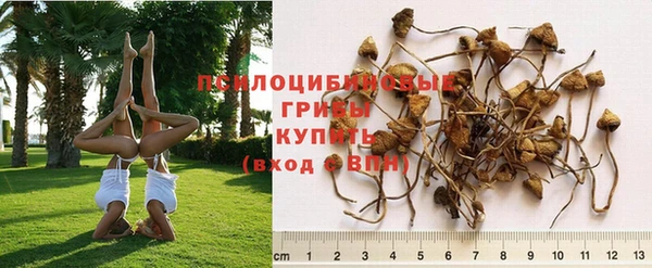 кокаин Арсеньев