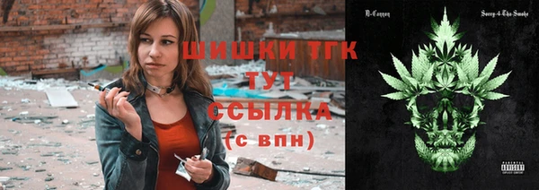прущие грибы Балахна
