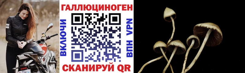 mega зеркало купить наркоту Богородск Галлюциногенные грибы Cubensis